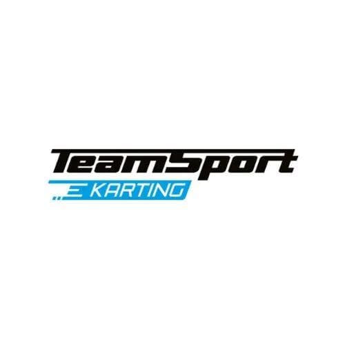 Team sport karting